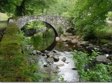 Maison Avec Patio Dans Le Centre Historique *