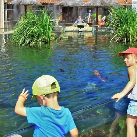 Maison Avec Patio Dans Le Centre Historique
