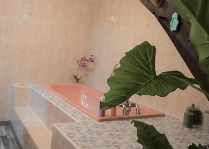 Maison Avec Patio Dans Le Centre Historique *