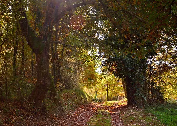 Maison Avec Patio Dans Le Centre Historique *