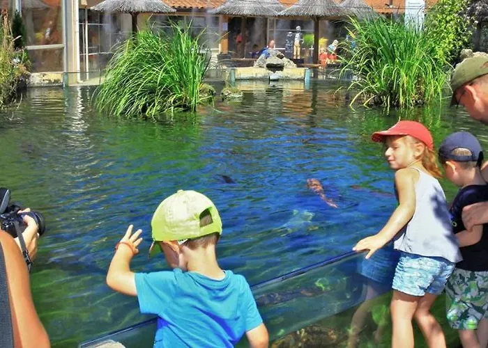 Maison Avec Patio Dans Le Centre Historique